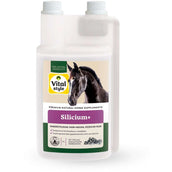 Vitalstyle Silicio+
