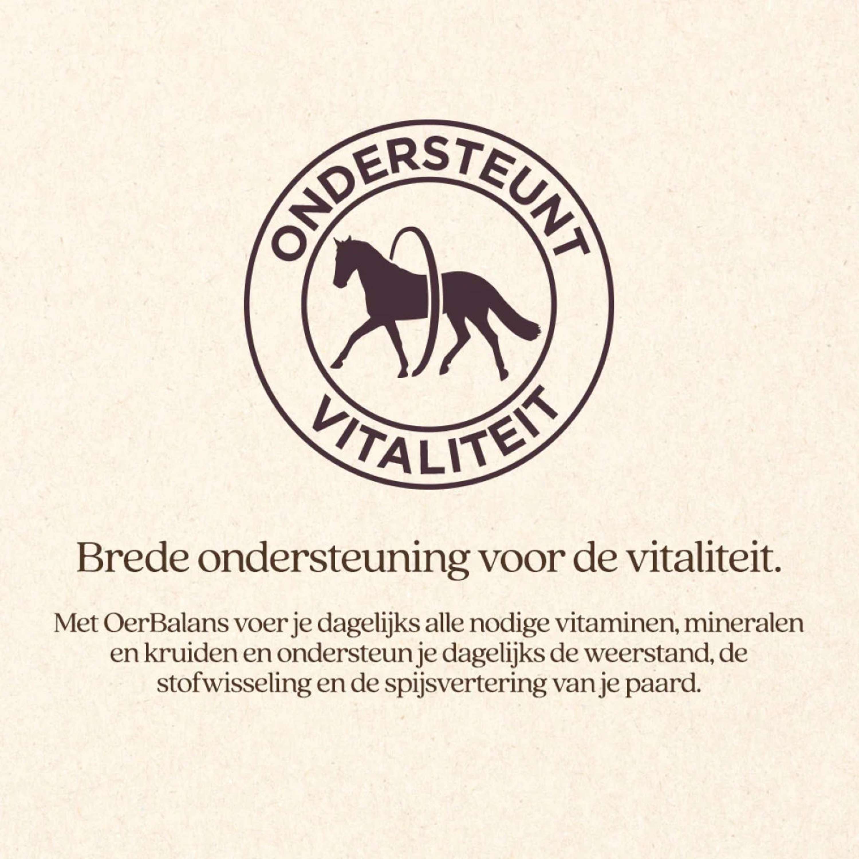 Vitalstyle Cubetti OerBalans Borsa