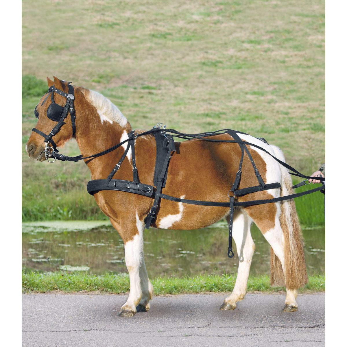 Waldhausen Imbracatura Nero