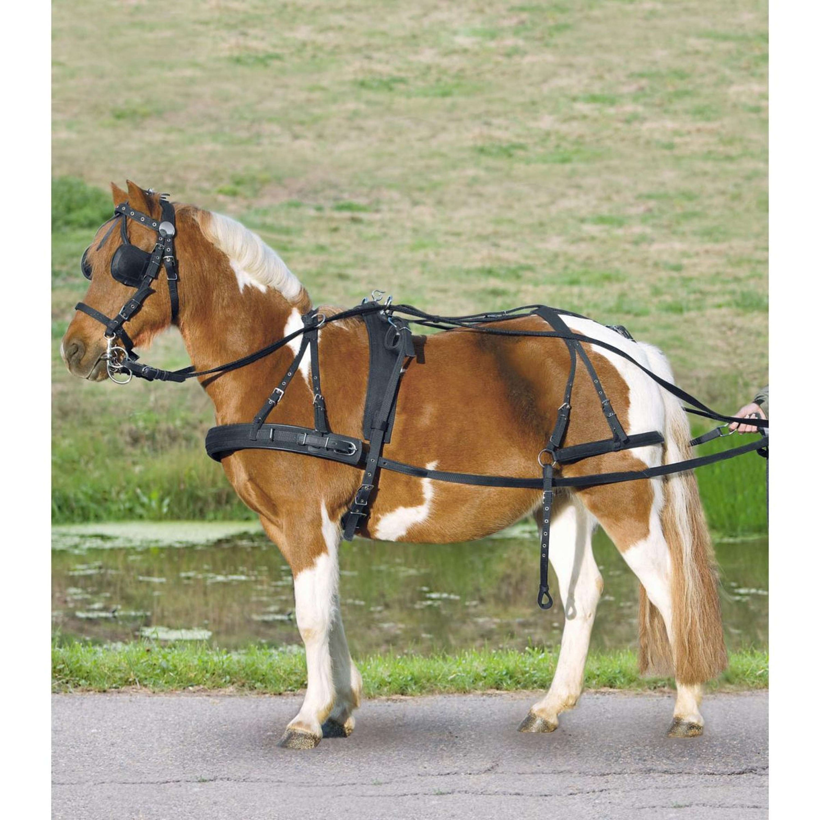 Waldhausen Imbracatura Nero