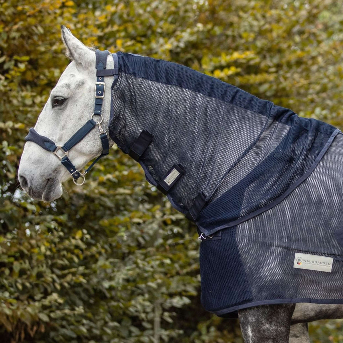 Waldhausen Copricollo Comfort Nightblue