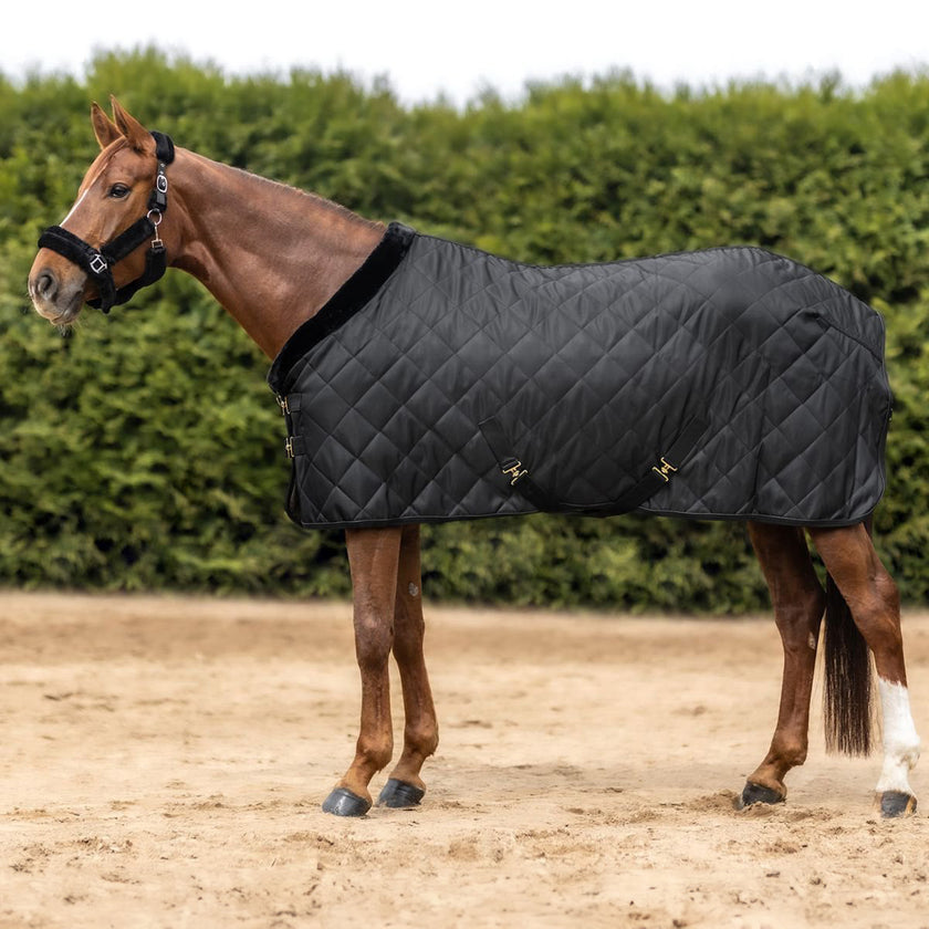 Waldhausen Coperta da Trasporto Exclusive Nero