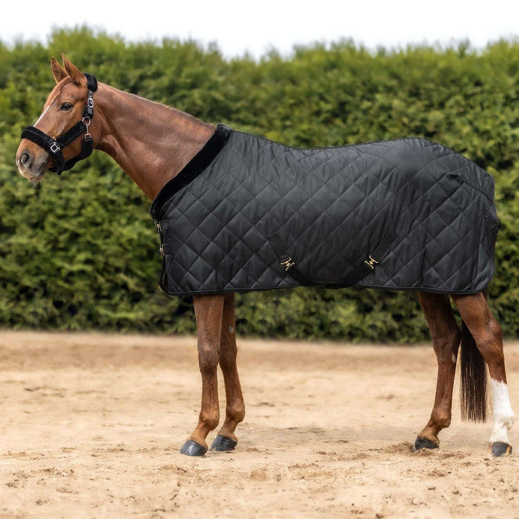 Waldhausen Coperta da Trasporto Exclusive Nero