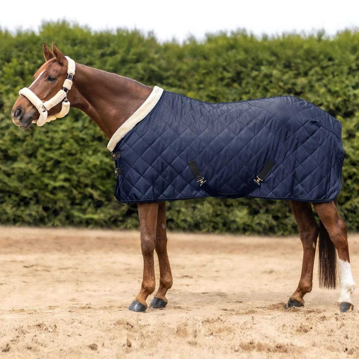 Waldhausen Coperta da Trasporto Exclusive Nightblue