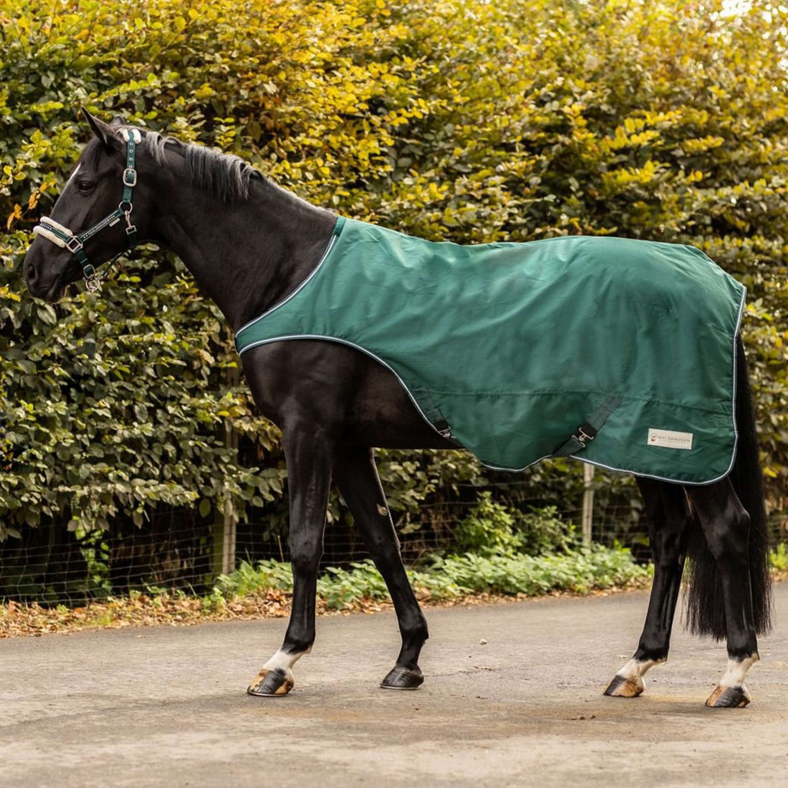 Waldhausen Coperta Tapis Roulant 100g Fir Green