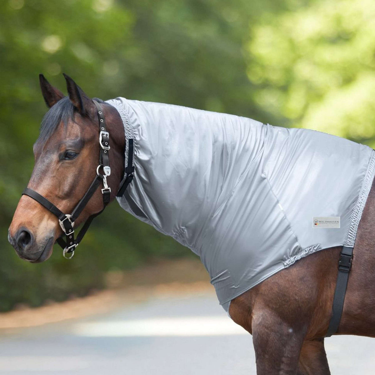 Waldhausen Copricollo Grigio argento