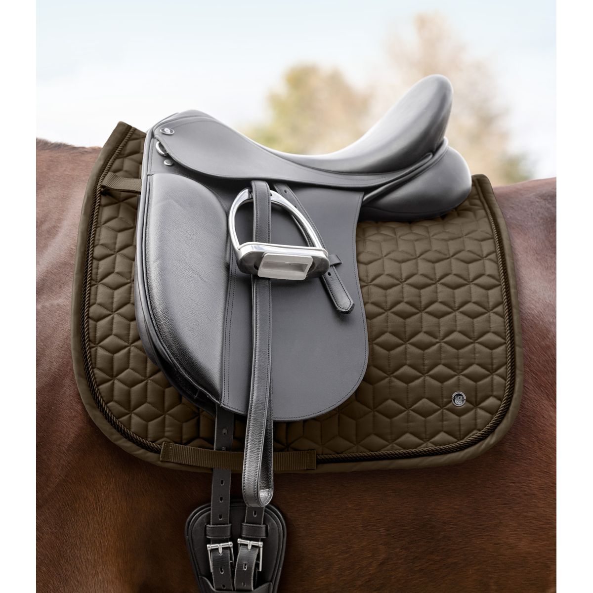Waldhausen Sottosella Philadelphia Dressage Verde/Marrone