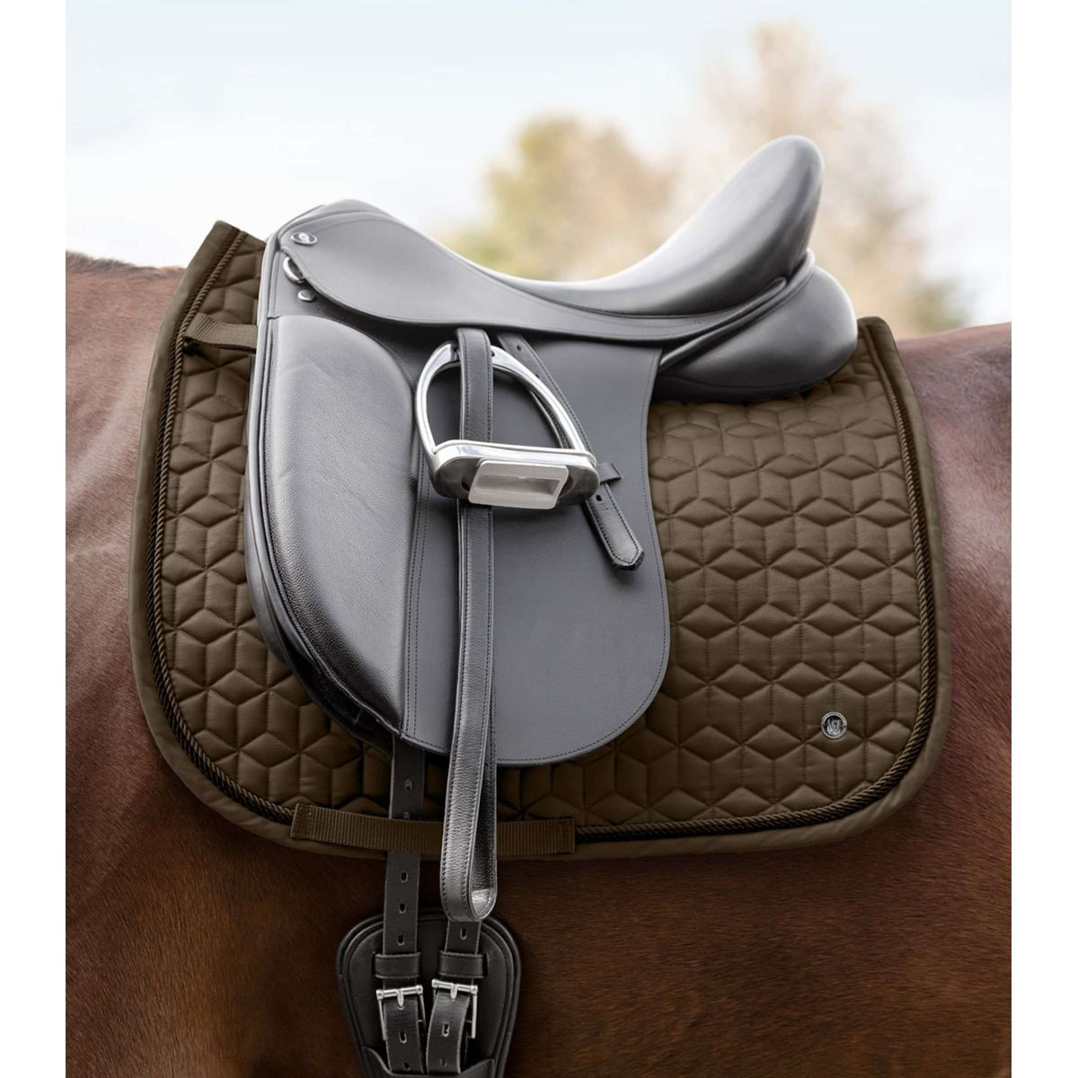 Waldhausen Sottosella Philadelphia Dressage Verde/Marrone