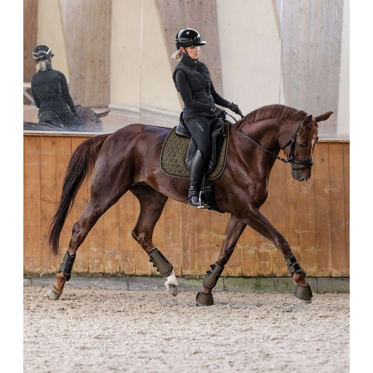 Waldhausen Sottosella Philadelphia Dressage Verde/Marrone