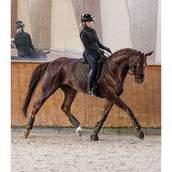 Waldhausen Sottosella Philadelphia Dressage Verde/Marrone