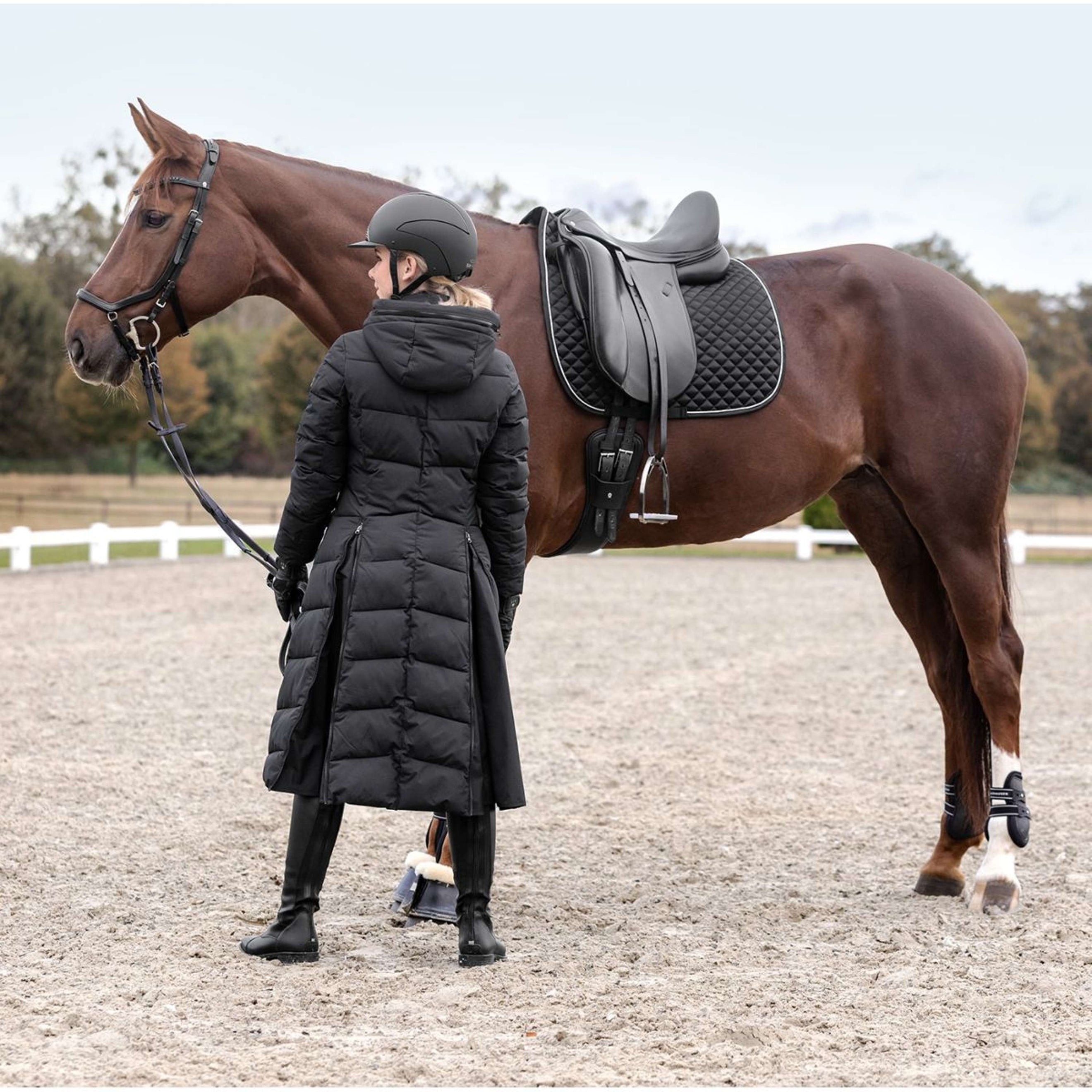 Waldhausen Sottosella Felix Glam Dressage Nero Waldhausen Sottosella Felix Glam Dressage Nero