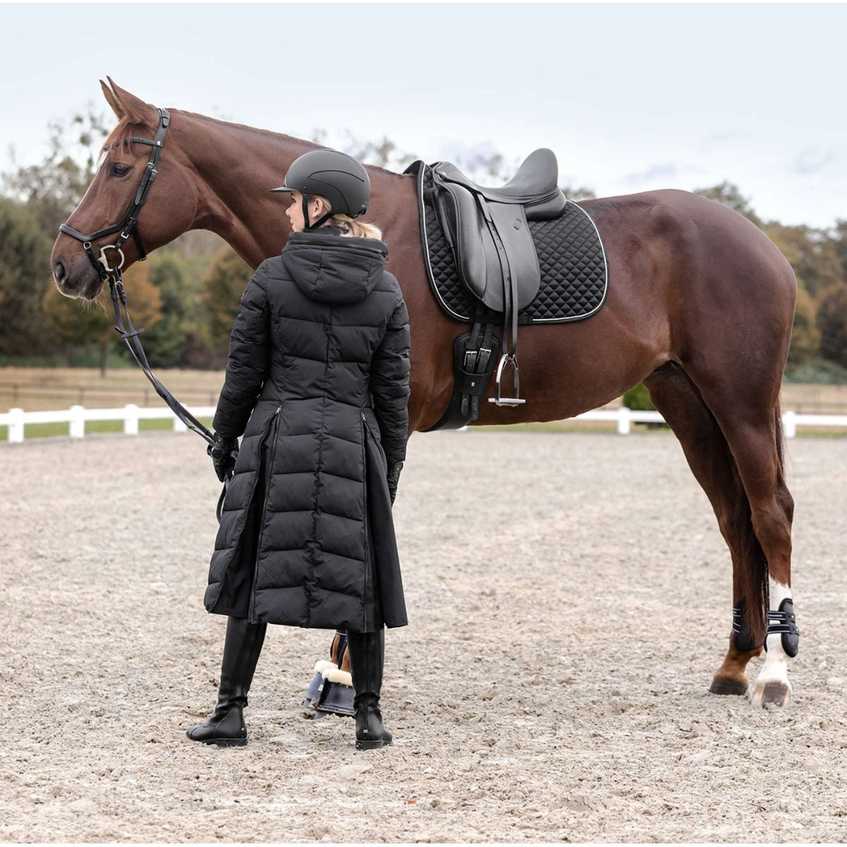 Waldhausen Sottosella Felix Glam Dressage Nero