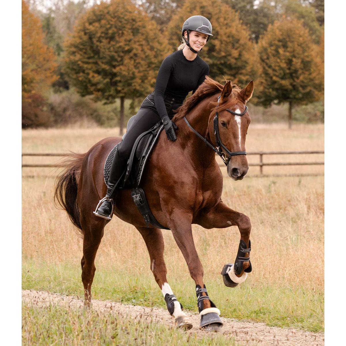 Waldhausen Sottosella Felix Glam Dressage Nero
