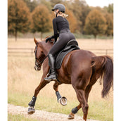 Waldhausen Sottosella Felix Glam Dressage Nero