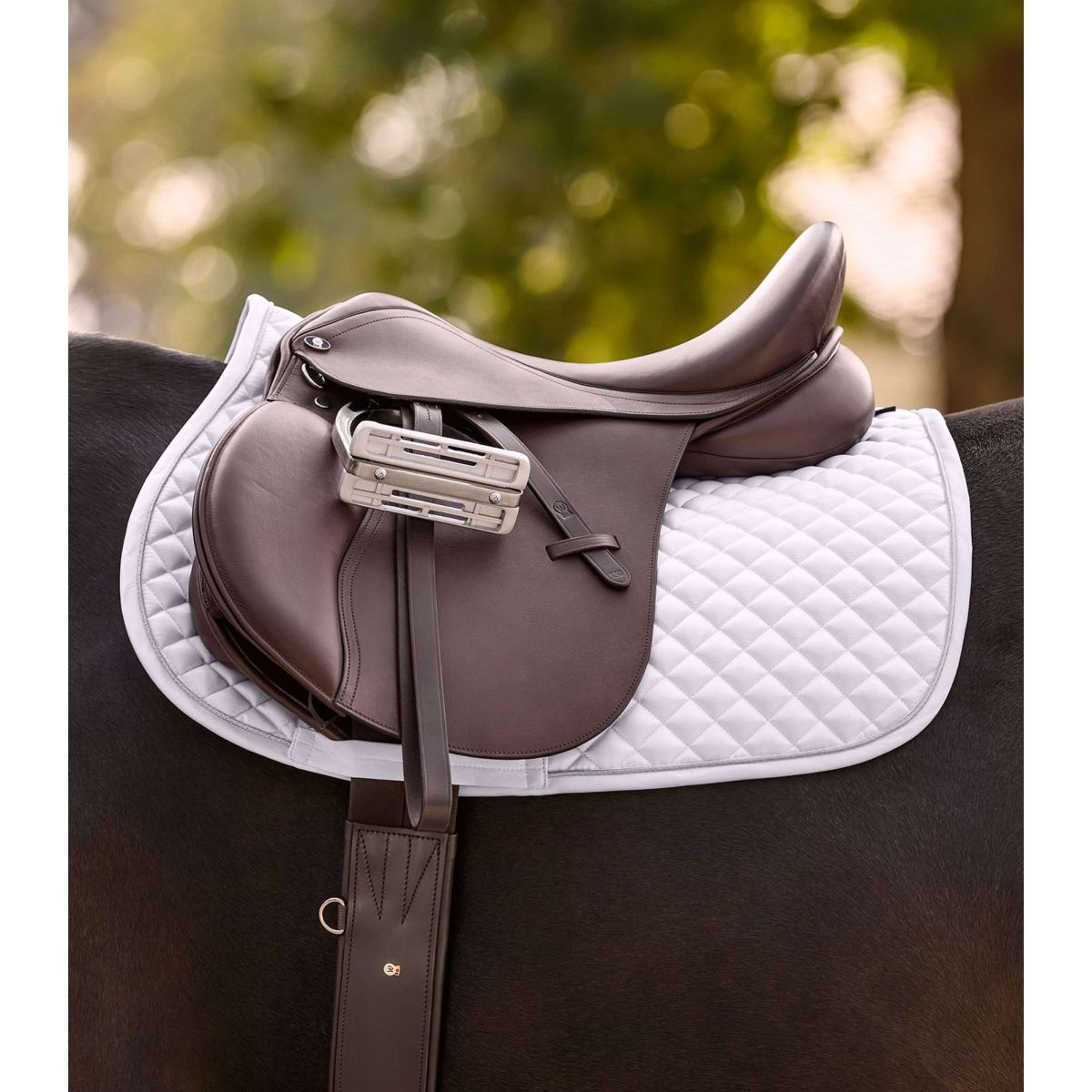 Waldhausen Sottosella Felix Glam Dressage Bianco