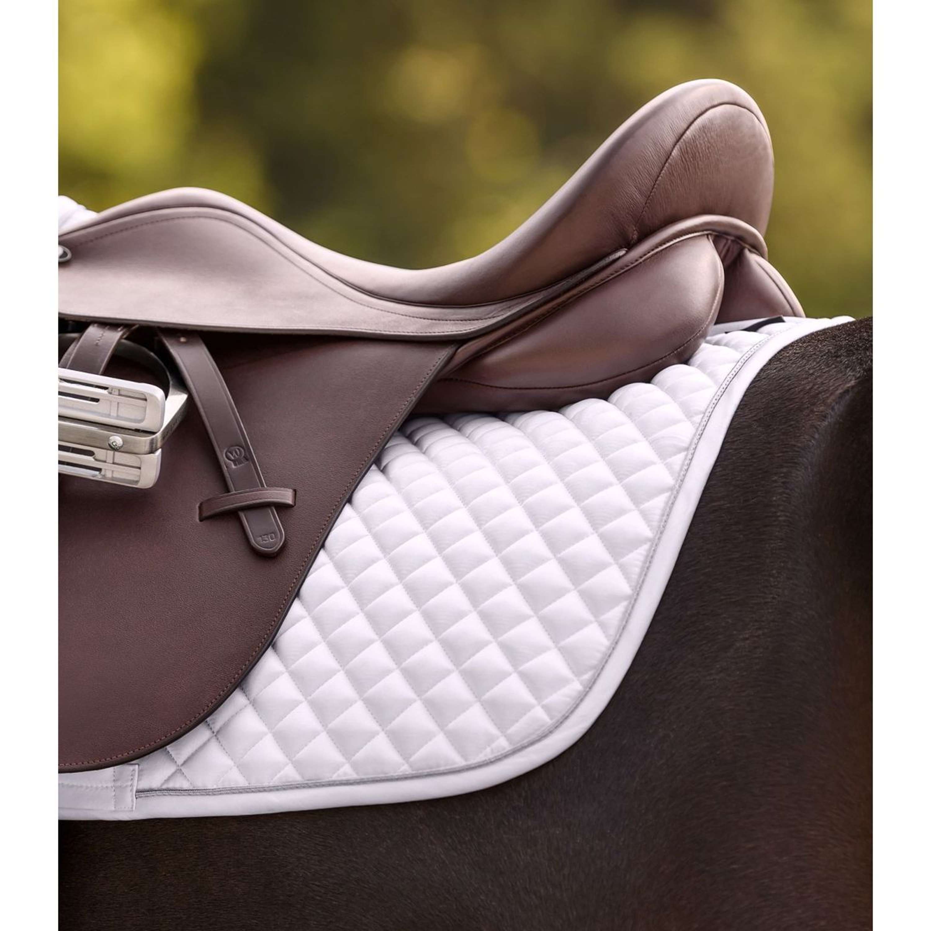 Waldhausen Sottosella Felix Glam Dressage Bianco