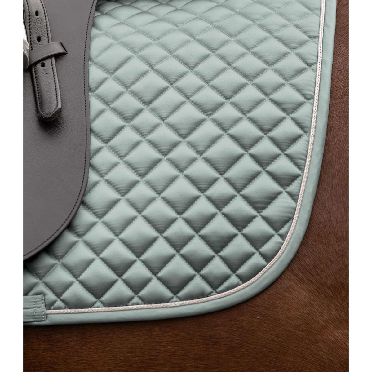 Waldhausen Sottosella Felix Glam Dressage Silverblue