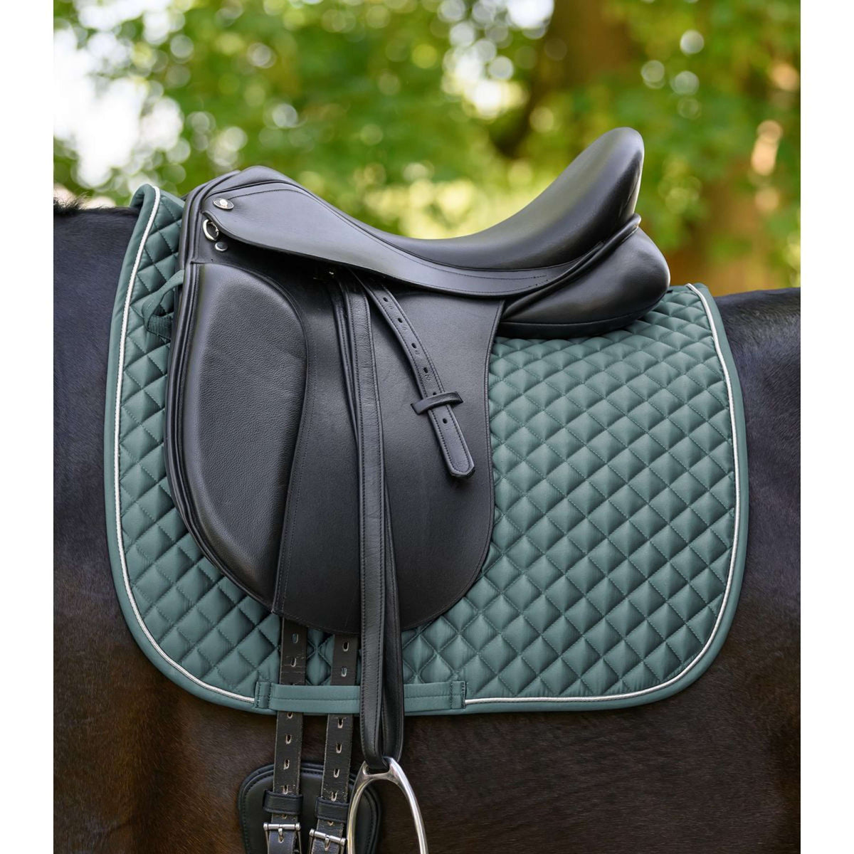 Waldhausen Sottosella Felix Glam Dressage Pine Green