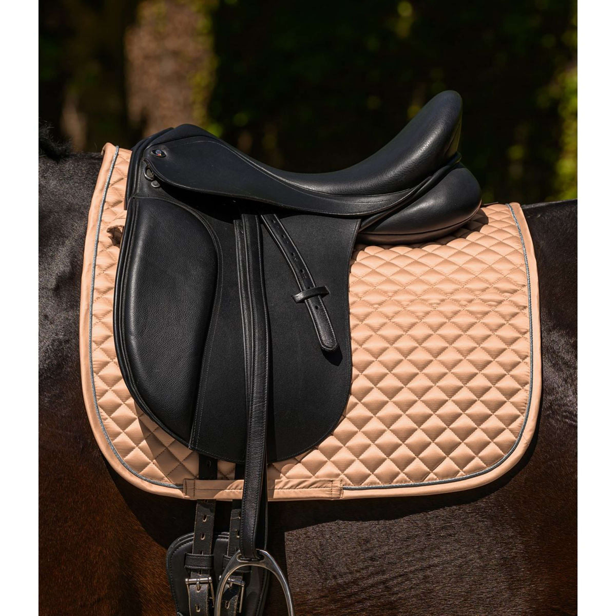 Waldhausen Sottosella Felix Glam Dressage Pesca