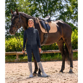 Waldhausen Sottosella Felix Glam Dressage Pesca
