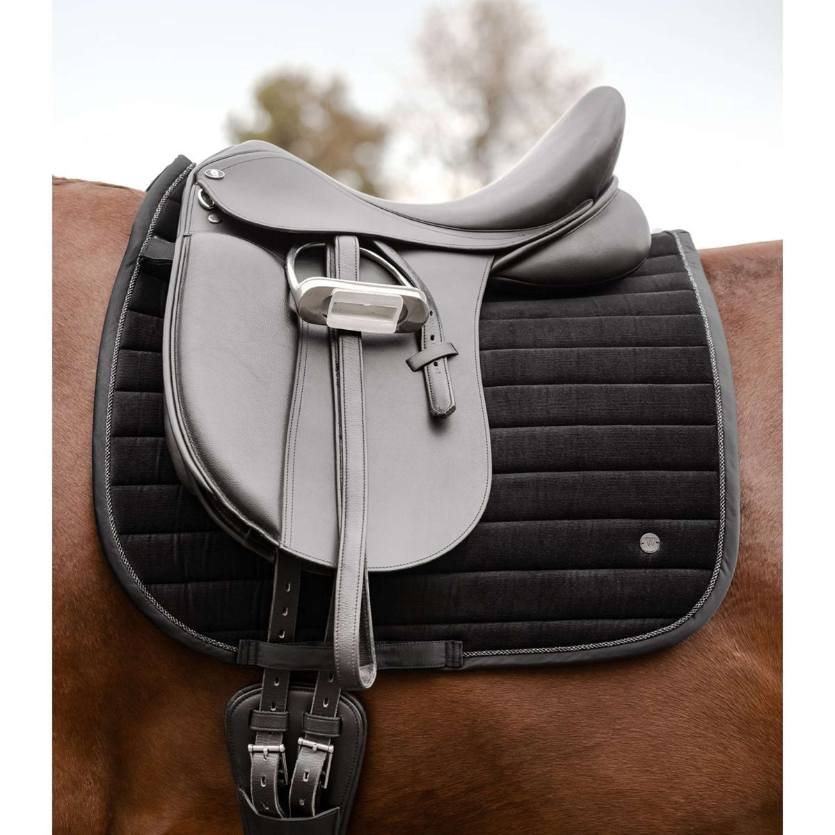 Waldhausen Sottosella St. Gallen Dressage Nero