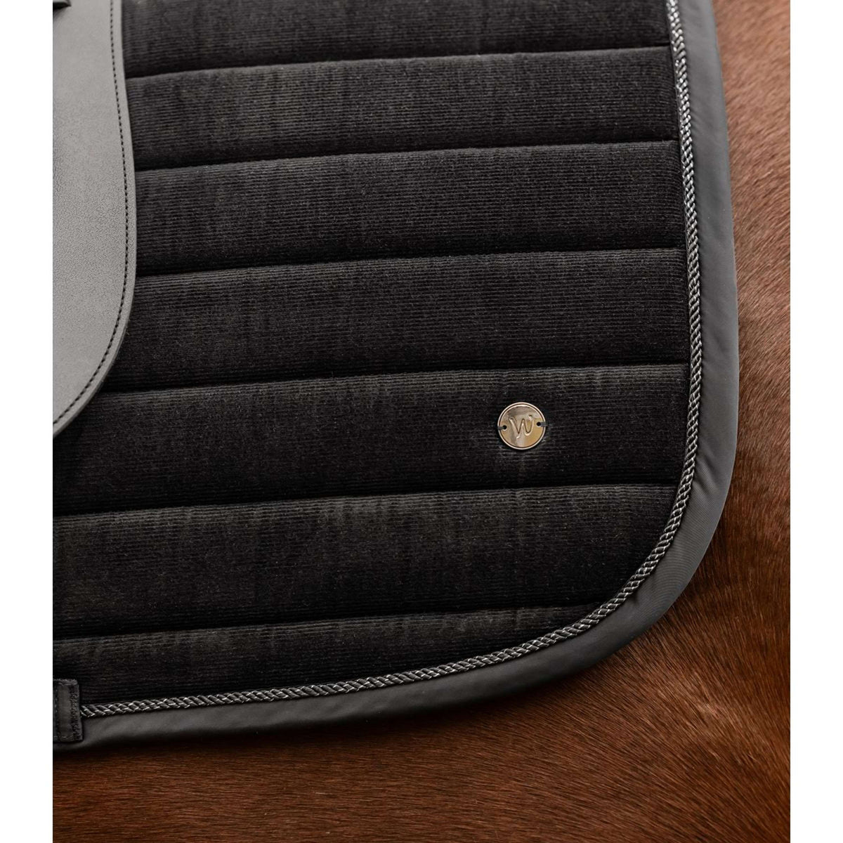 Waldhausen Sottosella St. Gallen Dressage Nero