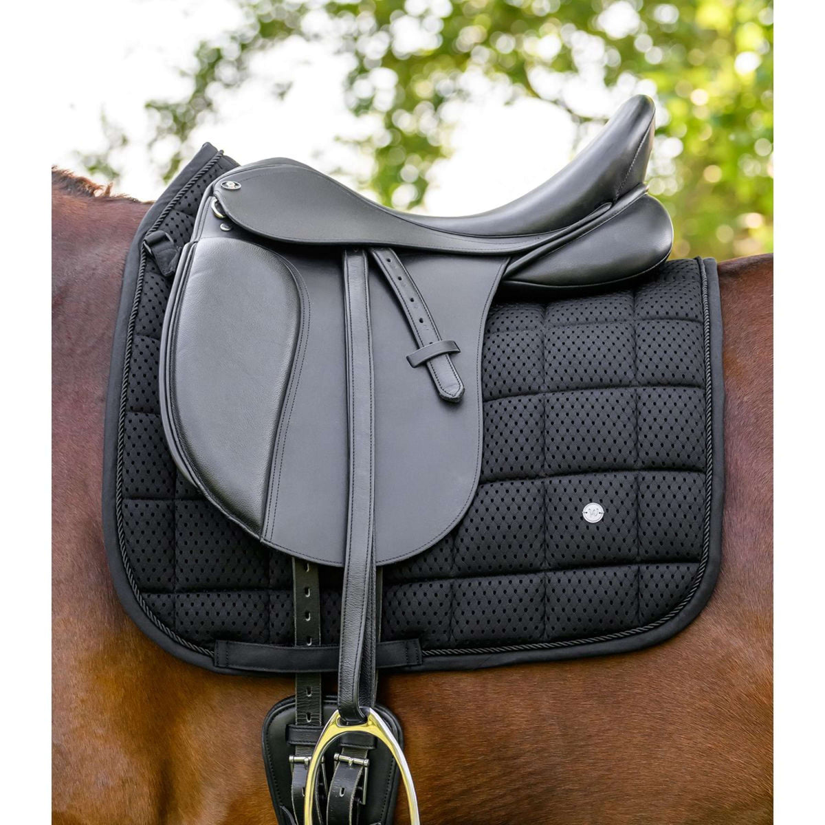 Waldhausen Sottosella Breath Performance Dressage Nero
