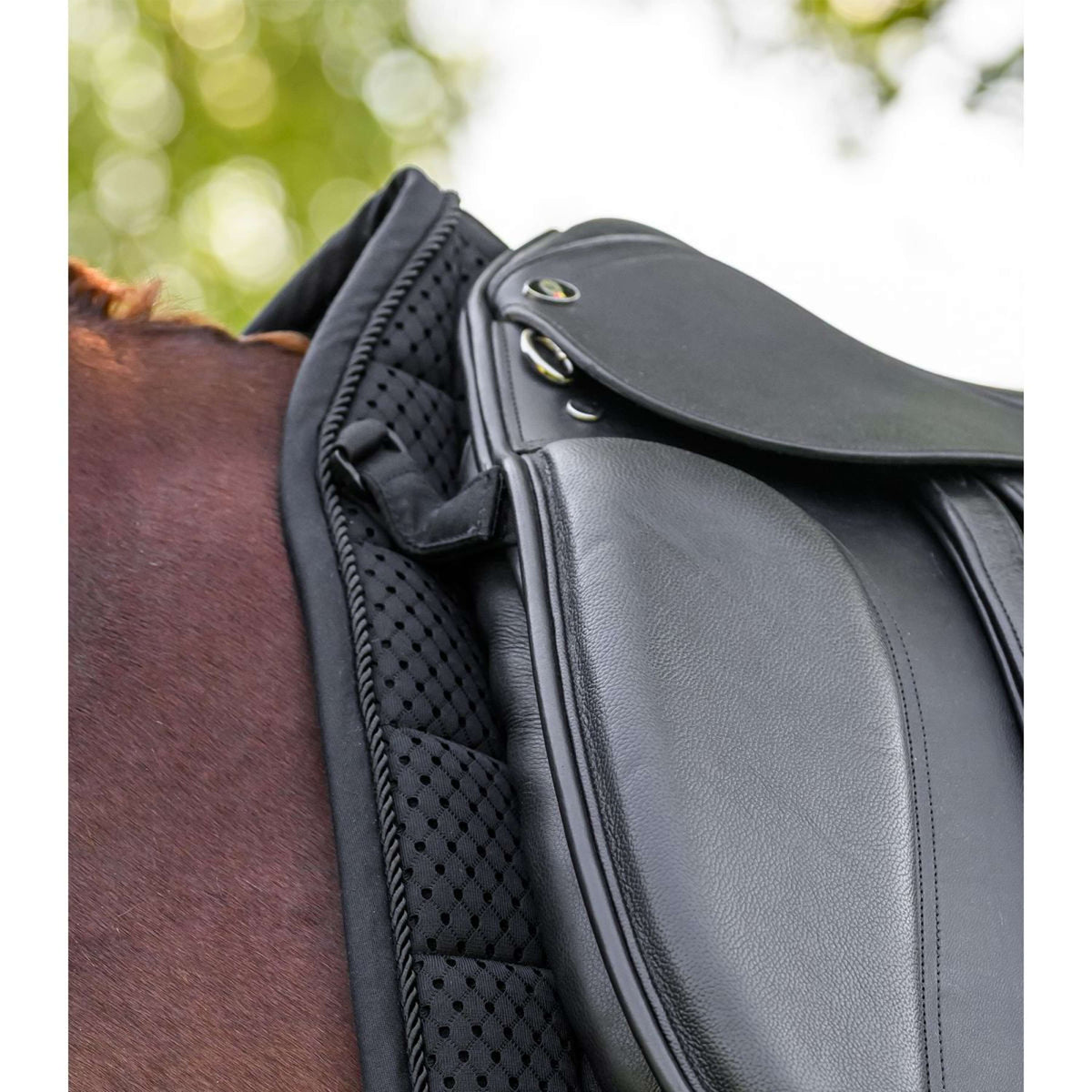 Waldhausen Sottosella Breath Performance Dressage Nero