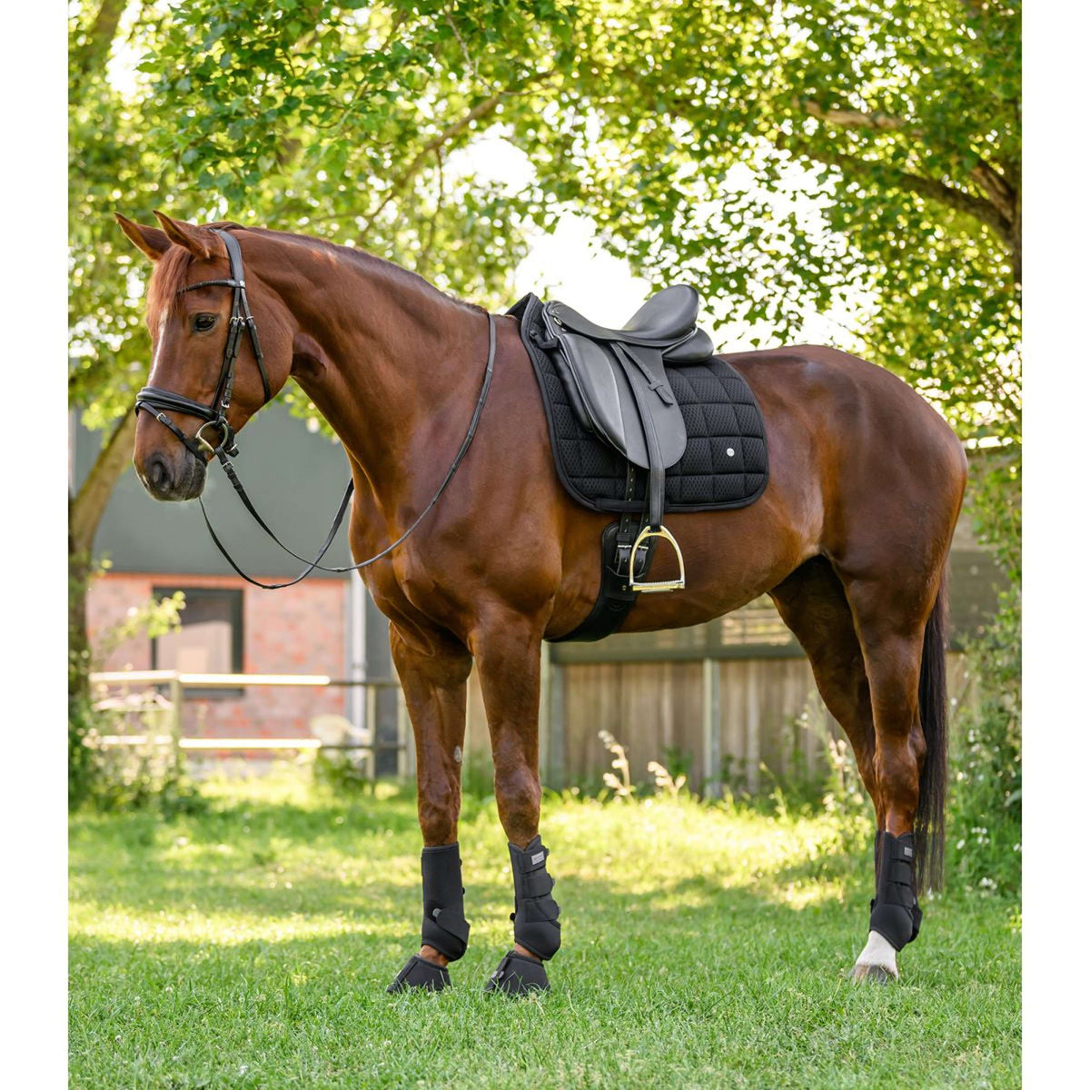 Waldhausen Sottosella Breath Performance Dressage Nero