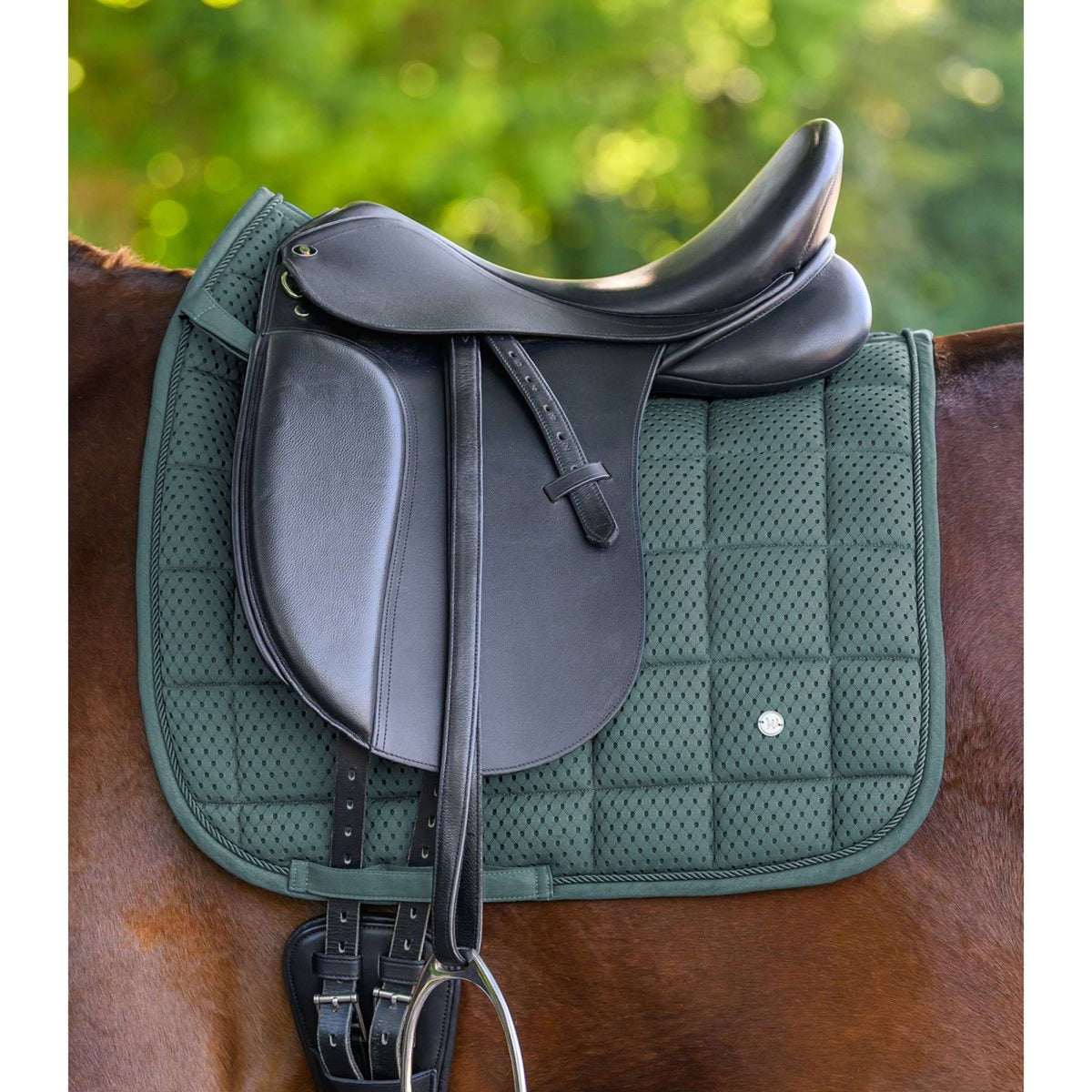 Waldhausen Sottosella Breath Performance Dressage Pine Green