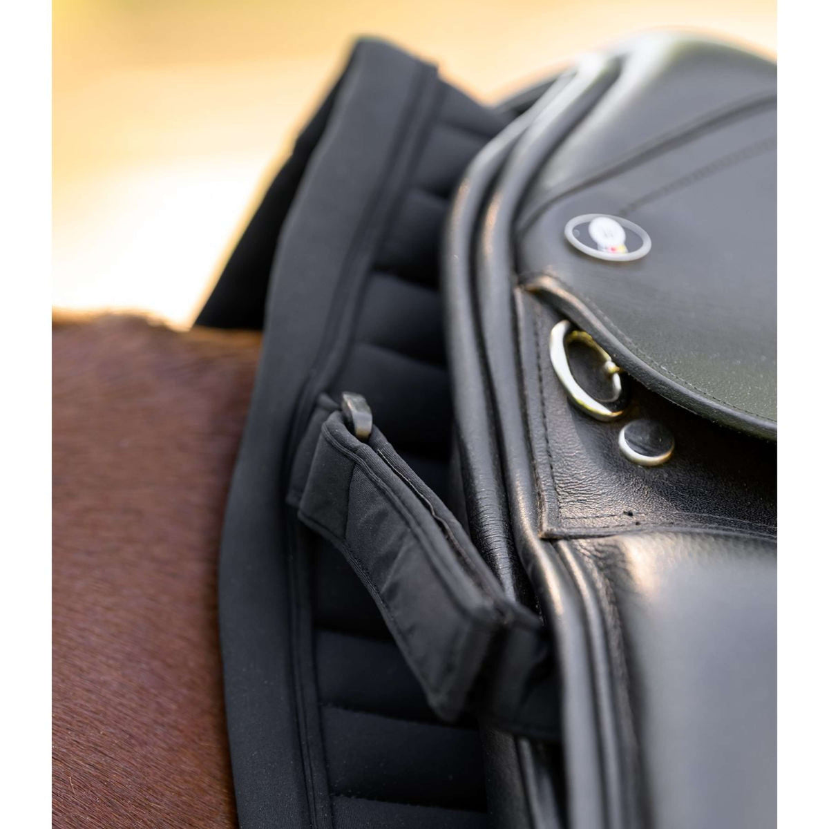 Waldhausen Sottosella Trinidad Dressage Nero