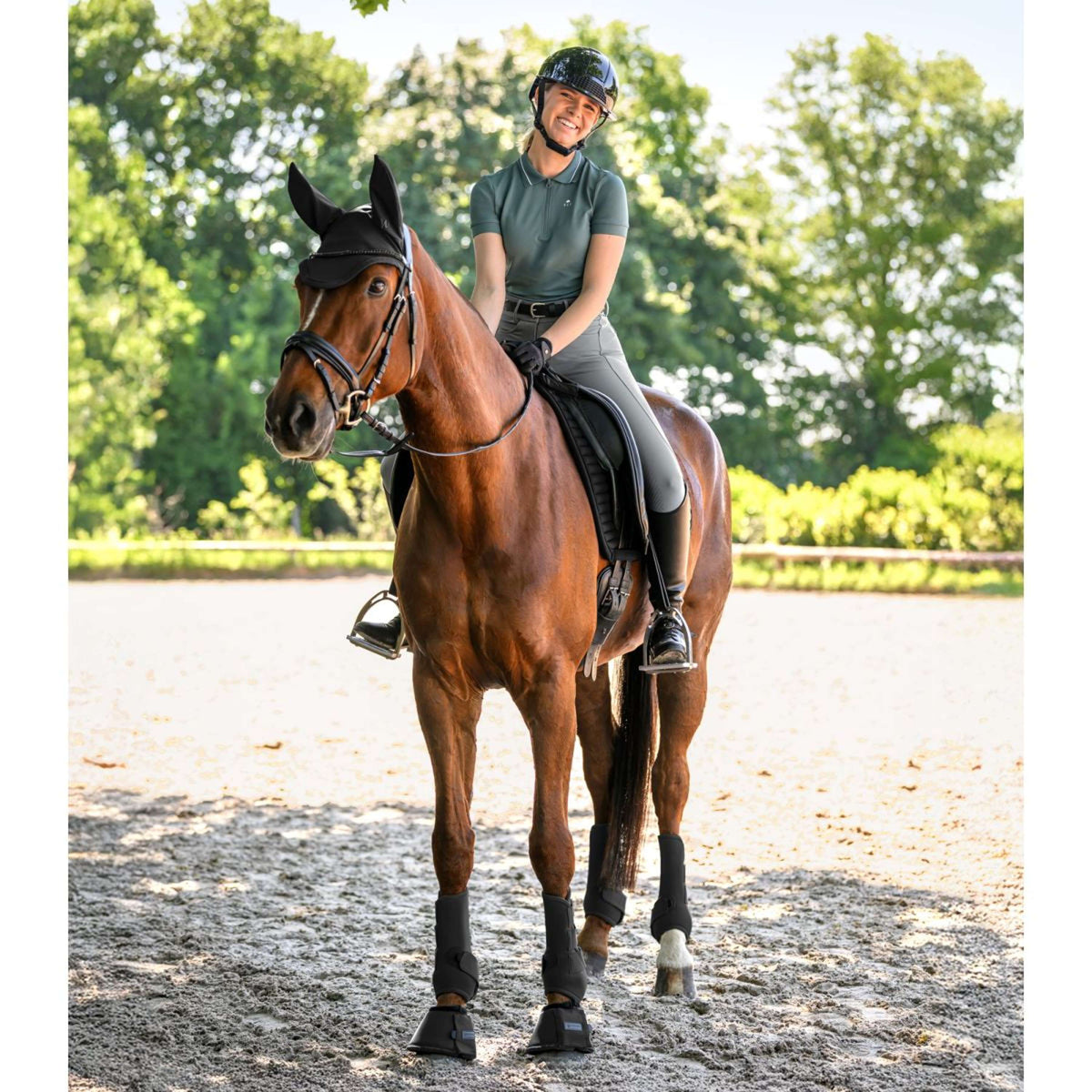 Waldhausen Sottosella Trinidad Dressage Nero