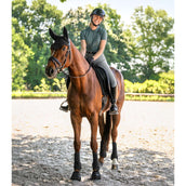 Waldhausen Sottosella Trinidad Dressage Nero