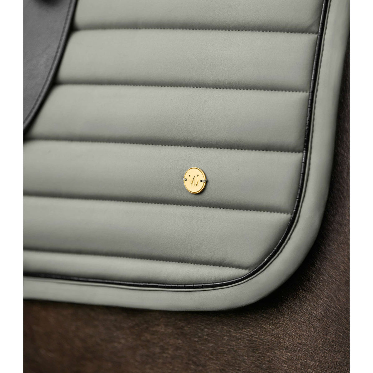 Waldhausen Sottosella Ubud Dressage Sage