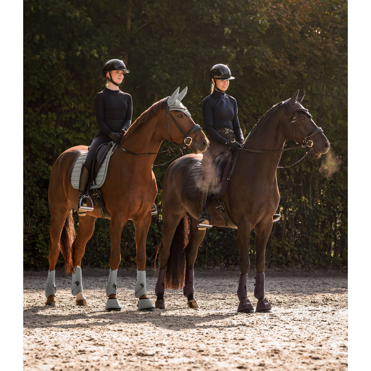 Waldhausen Sottosella Ubud Dressage Sage