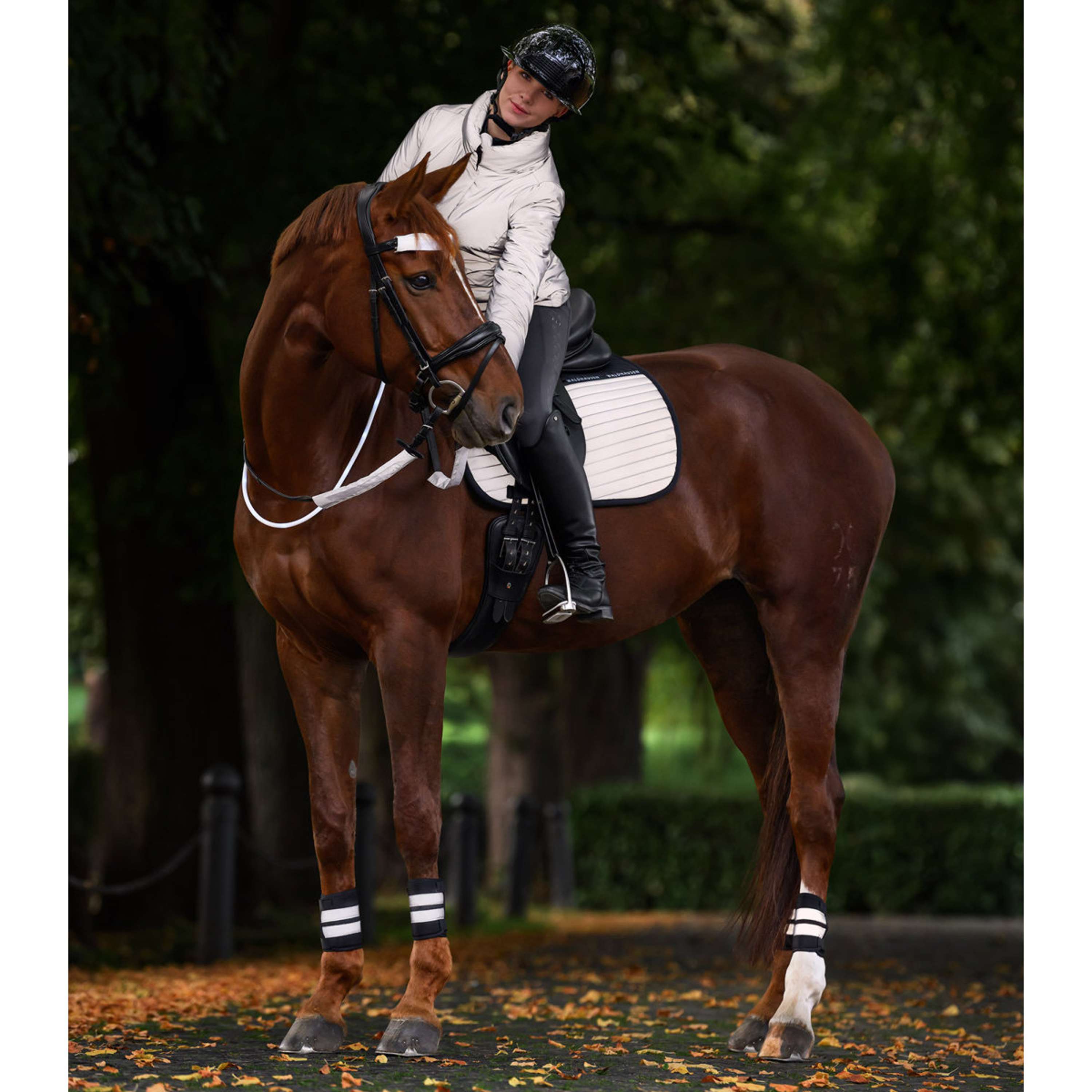 Waldhausen Sottosella Reflex Dressage Grigio argento