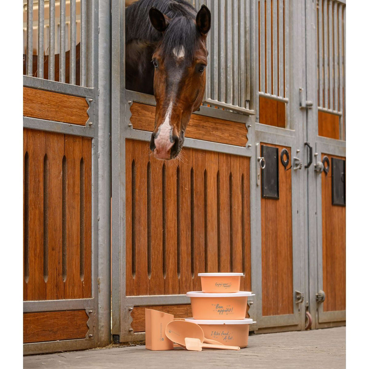 Waldhausen Paletta per Mangimi Pesca