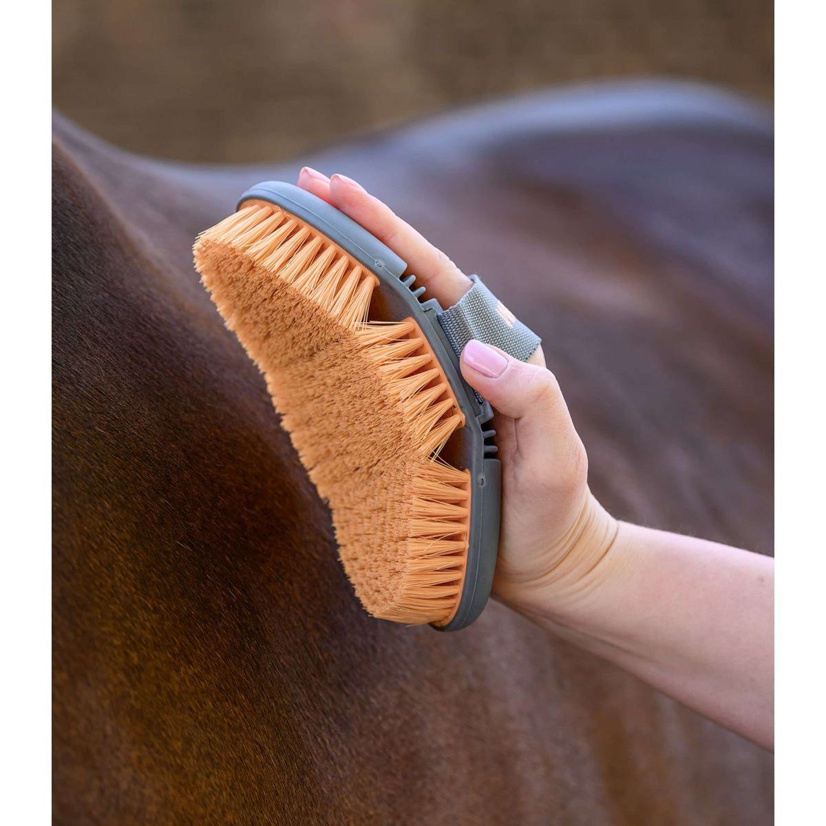 Waldhausen Spazzola Morbida Flex Peach/Chrome Grey