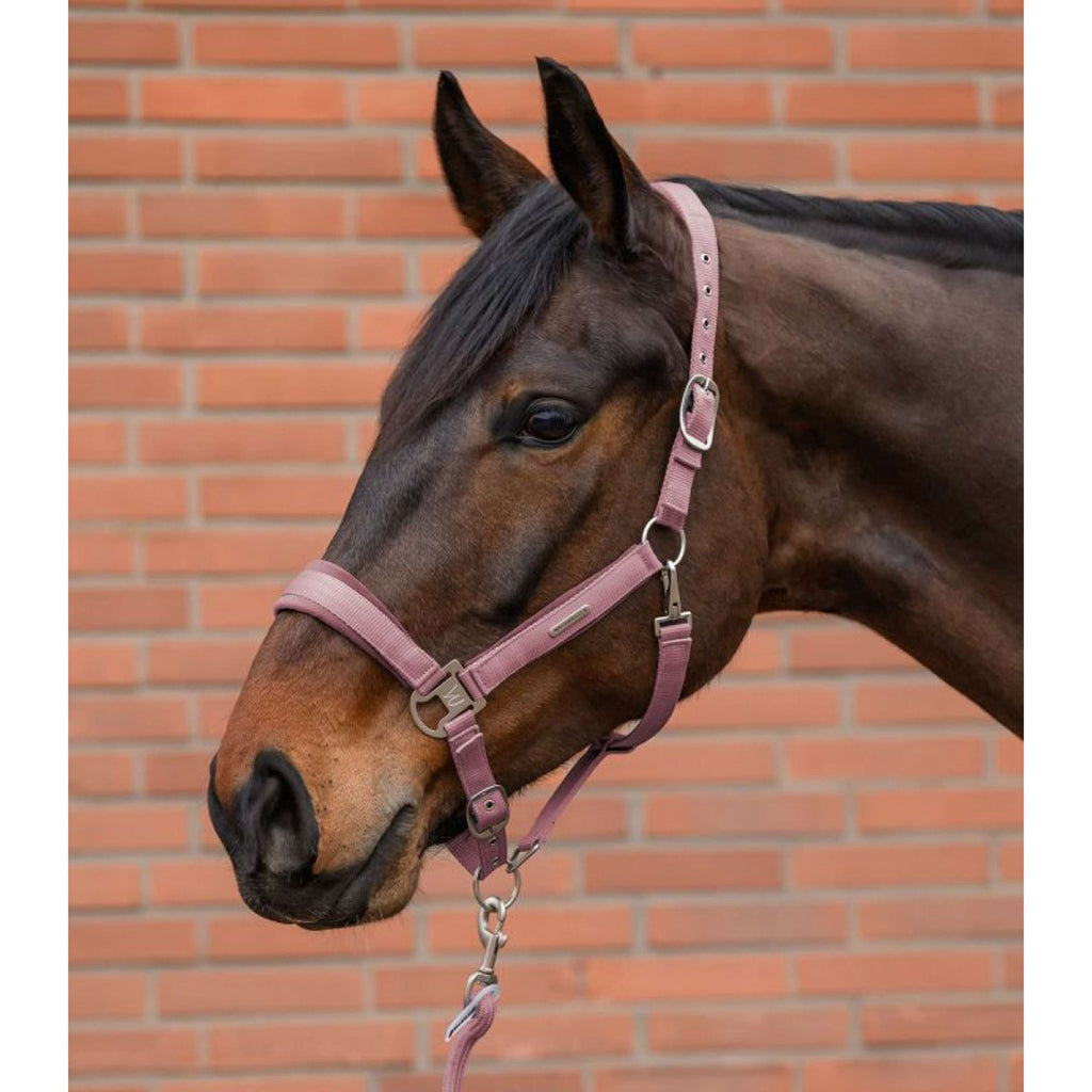 Waldhausen Set Cavezza Velvet Dusky Pink