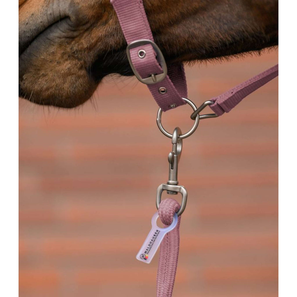 Waldhausen Set Cavezza Velvet Dusky Pink