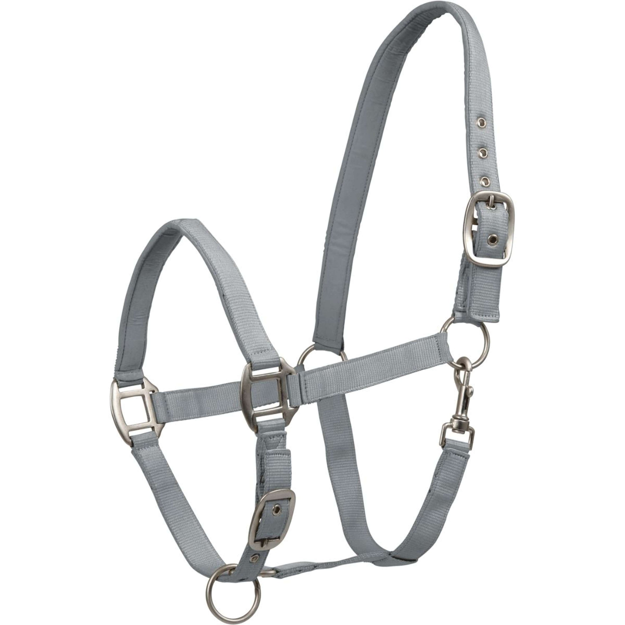 Waldhausen Cavezza Satin Chrome Grey