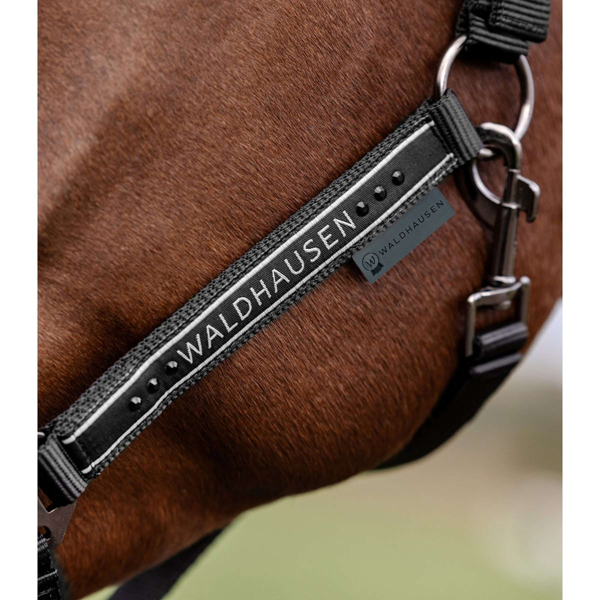 Waldhausen Capezzina Elegant Nero