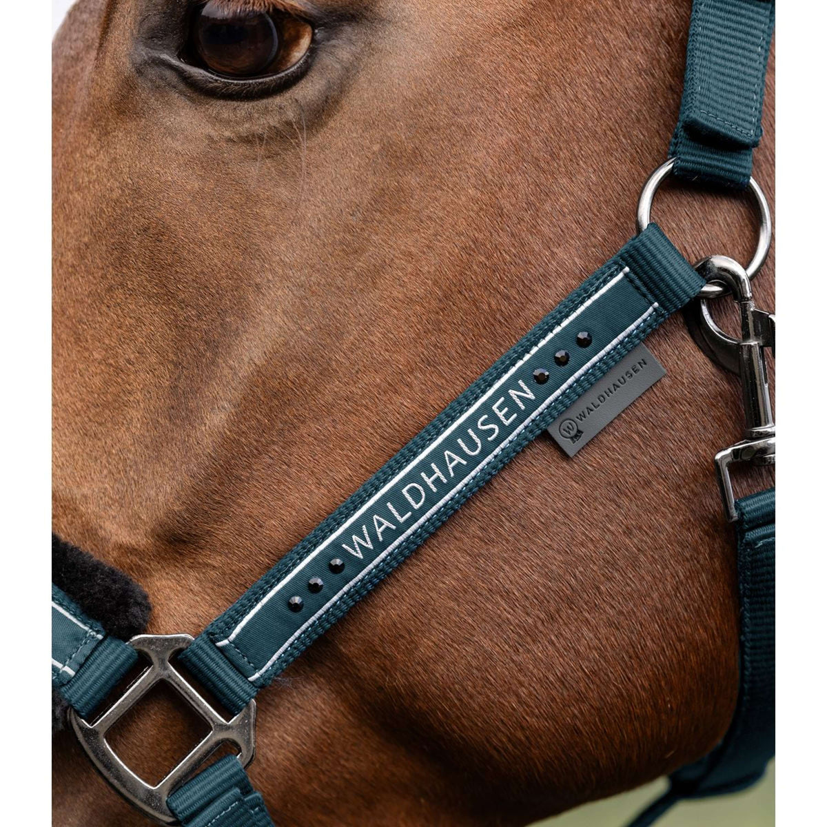 Waldhausen Capezzina Elegant Petrol Blue