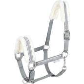 Waldhausen Cavezza Elegant Chrome Grey