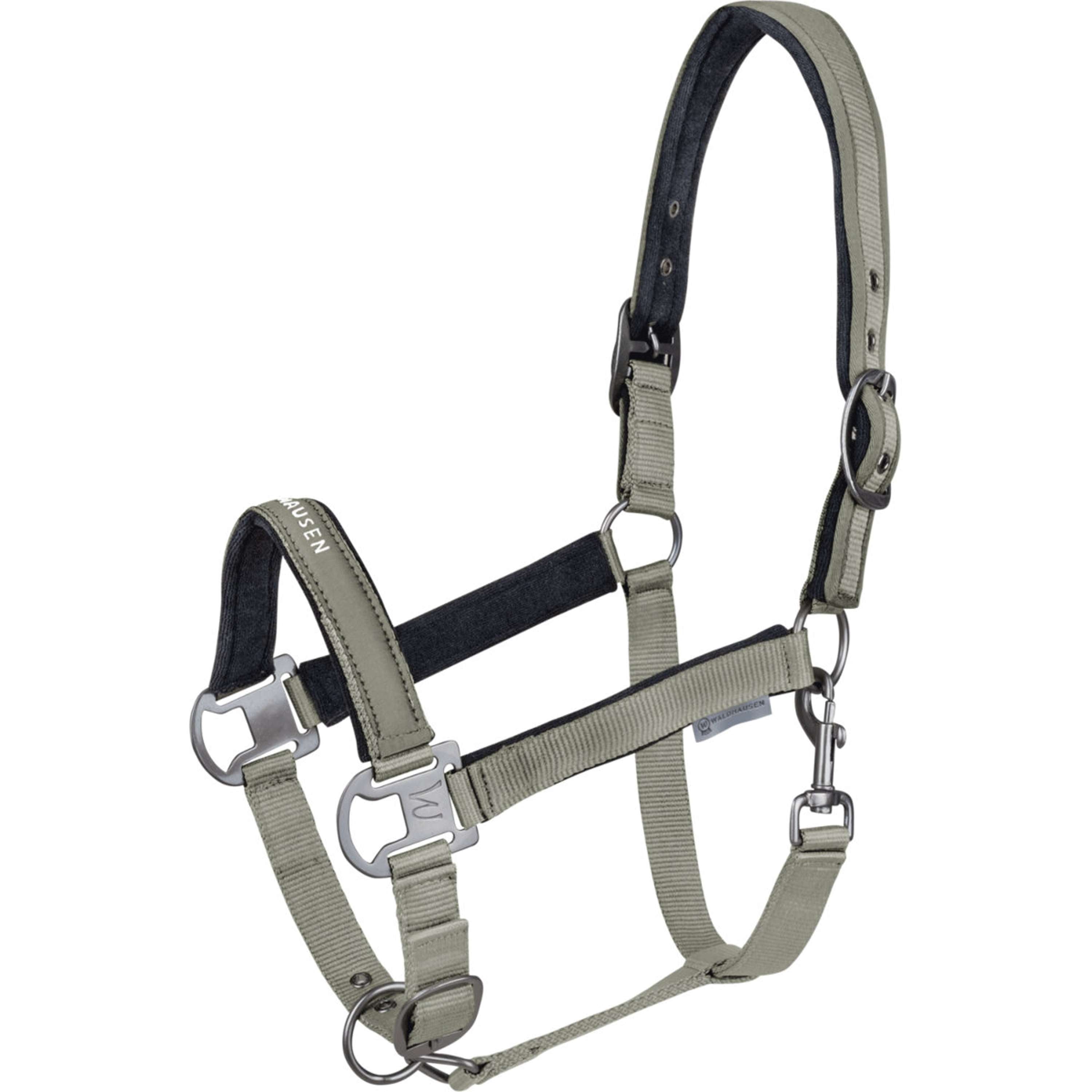 Waldhausen Cavezza Athletic Sage