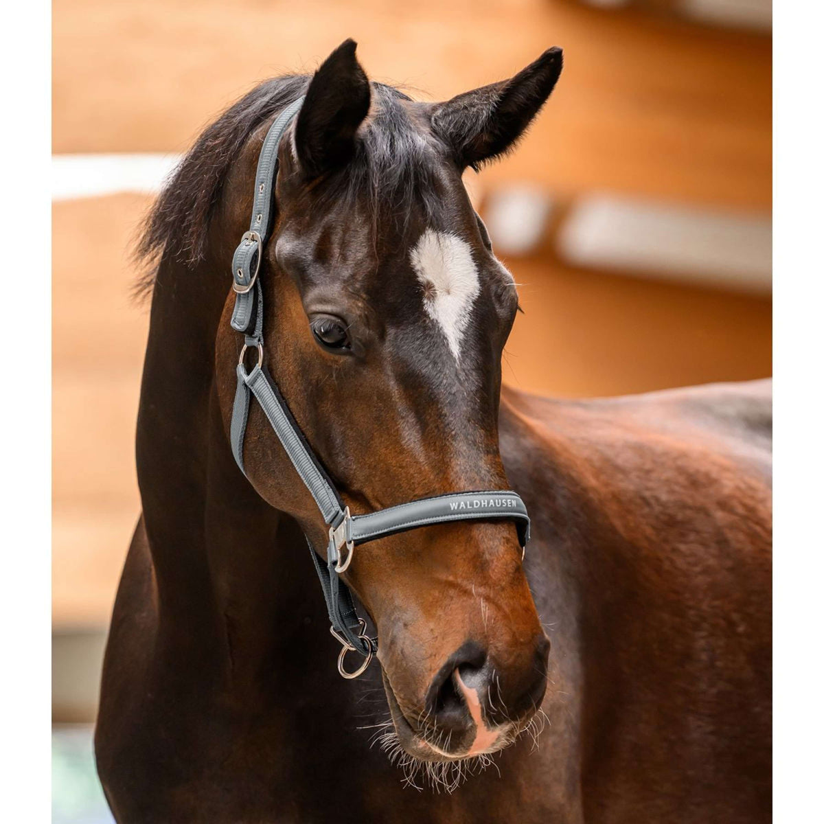 Waldhausen Capezzina Athletic Chrome Grey