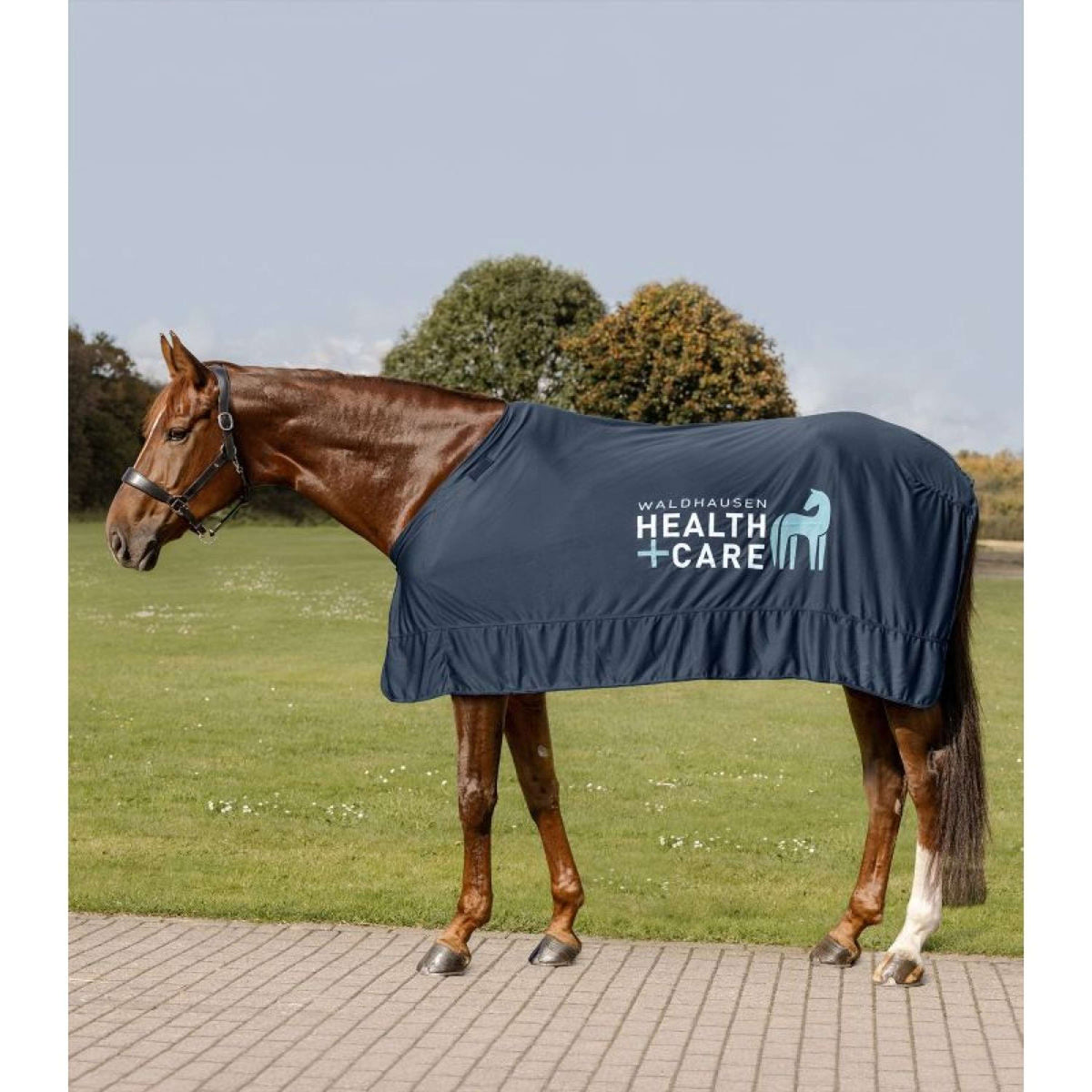 Waldhausen Health + Care Coperta Rinfrescante Ice Layer Blu notte