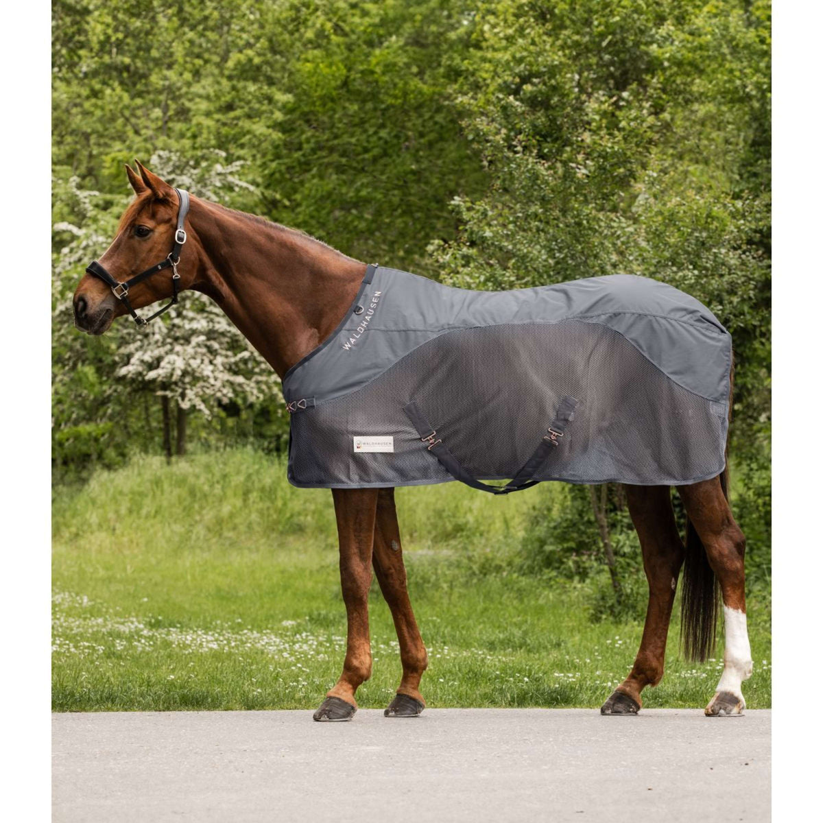 Waldhausen Coperta Antimosche Comfort Grigio