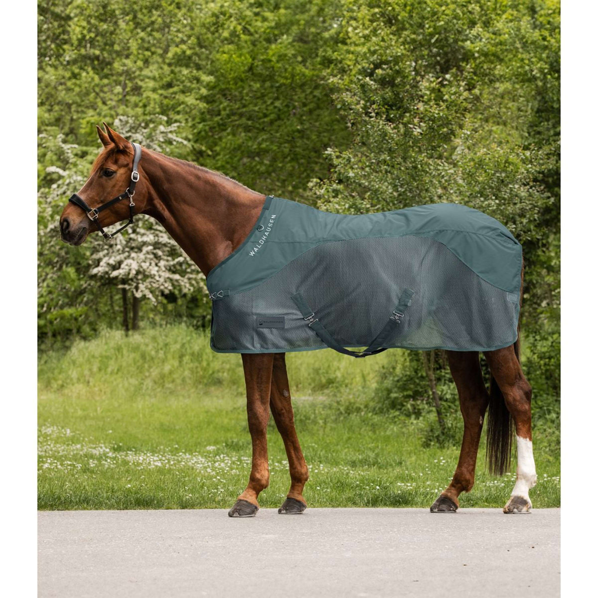 Waldhausen Coperta Antimosche Comfort Schienale Impermeabile Pine Green
