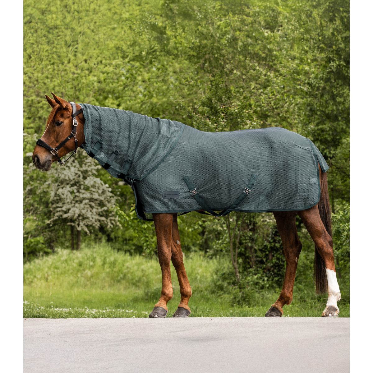 Waldhausen Copricollo Comfort Pine Green